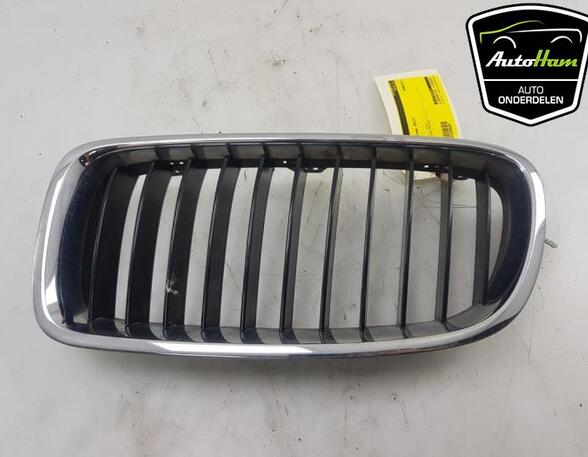 Radiator Grille BMW 3 Touring (F31), BMW 3 (F30, F80)