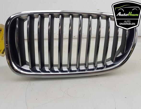 Radiateurgrille BMW 5 (F10)