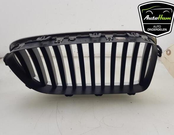 Radiateurgrille BMW 5 (F10)