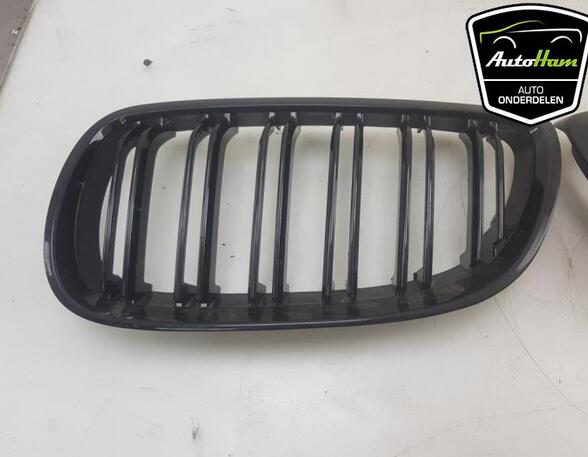 Kühlergrill BMW 3er Coupe E92 NIETAFLEESBAAR P18995240