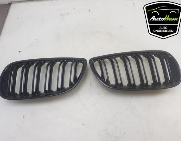 Radiator Grille BMW 3 Coupe (E92), BMW 3 Touring (E91)