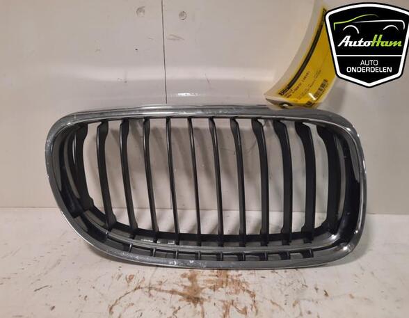 Radiator Grille BMW 3 Touring (E91)