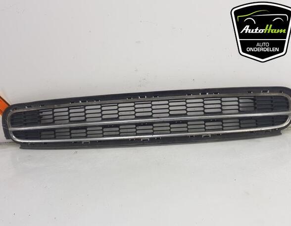 Radiator Grille MINI MINI (R56)