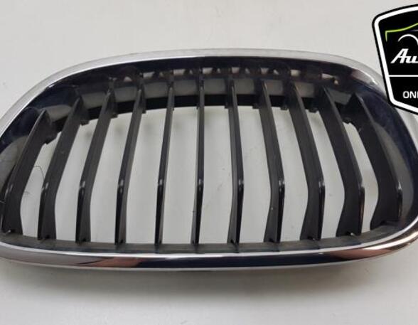 Radiateurgrille BMW 1 (F21)