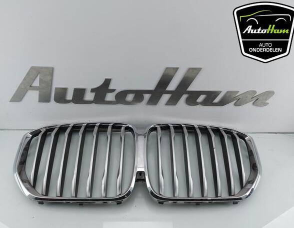 Radiator Grille BMW X5 (G05, F95)