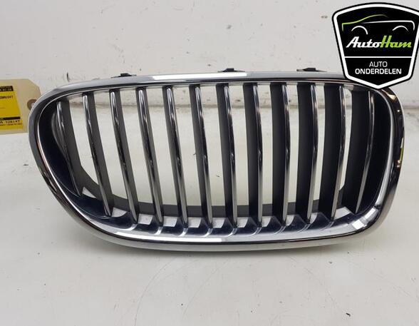 Radiator Grille BMW 5 (F10)