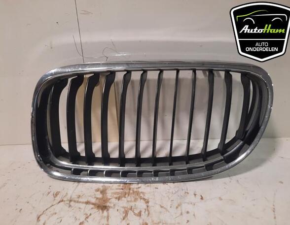 Radiator Grille BMW 3 Touring (E91)