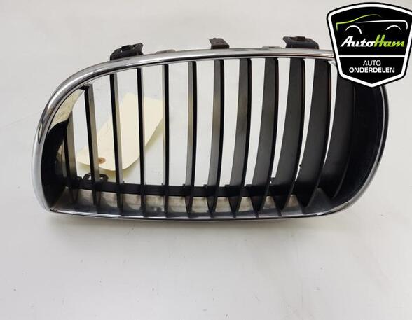 Radiator Grille BMW 1 (E87), BMW 1 (E81)