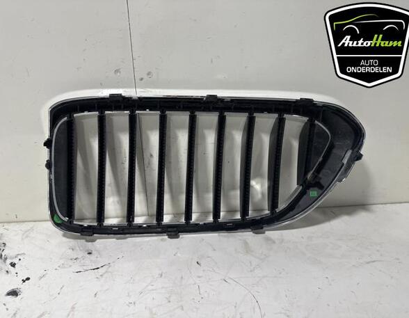 Radiateurgrille BMW 6 Gran Turismo (G32)