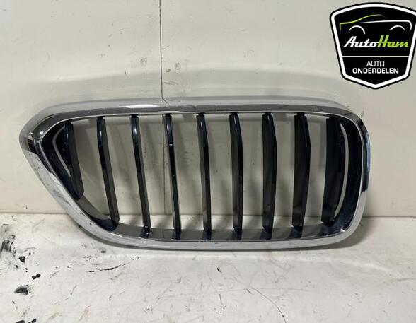 Radiateurgrille BMW 6 Gran Turismo (G32)