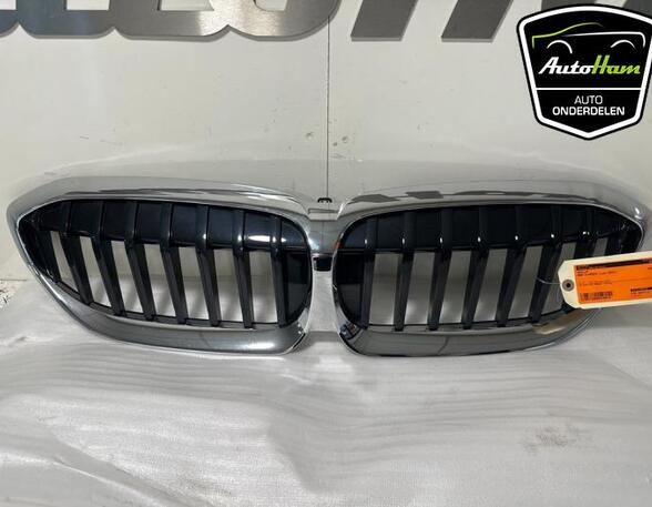 Radiator Grille BMW 3 (G20, G80)