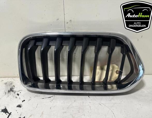 Radiator Grille BMW X2 (F39)