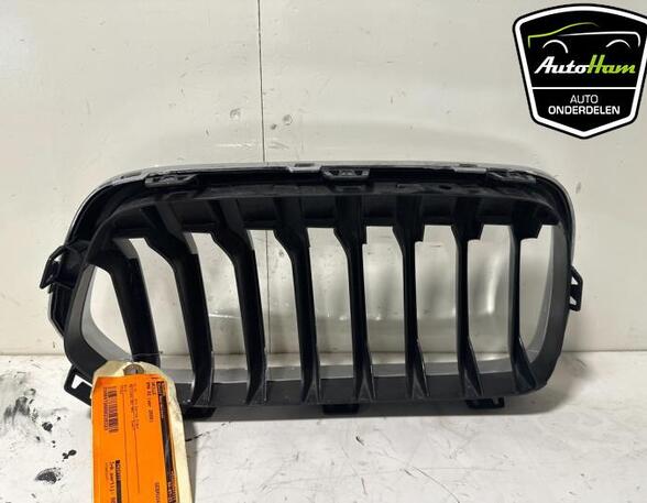 Radiator Grille BMW X2 (F39)