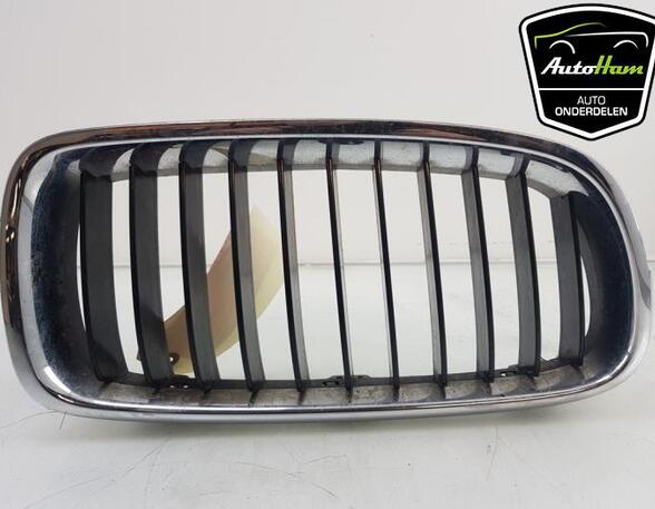 Radiateurgrille BMW 3 (F30, F80)