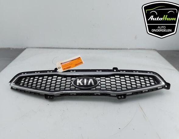 Radiator Grille KIA PICANTO (TA)