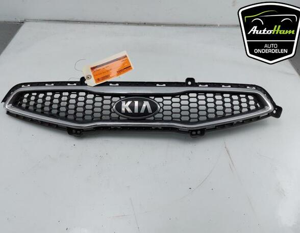 Radiateurgrille KIA PICANTO (TA)