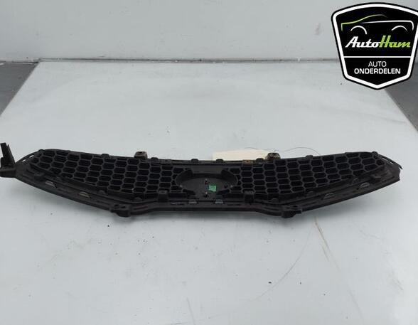 Radiator Grille KIA PICANTO (TA)