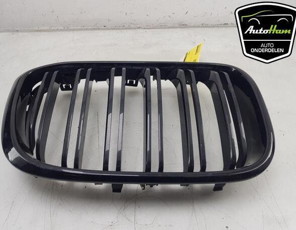 Radiateurgrille BMW X3 (G01, F97)