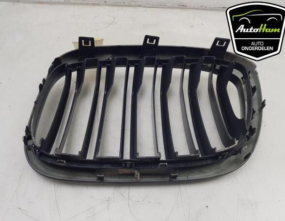 Radiateurgrille BMW X3 (G01, F97)