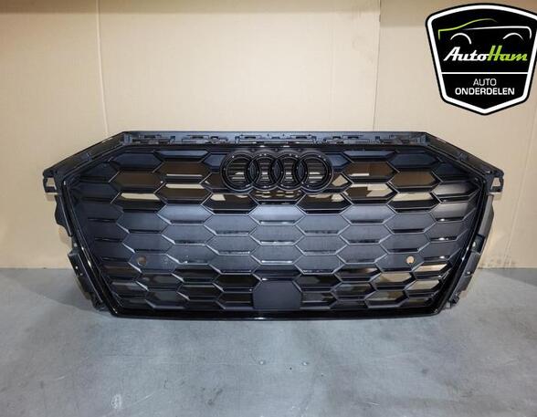 Radiator Grille AUDI A3 Sportback (8YA)