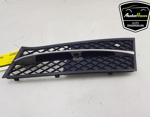 Ventilatiegrille bumper BMW 5 (F10)