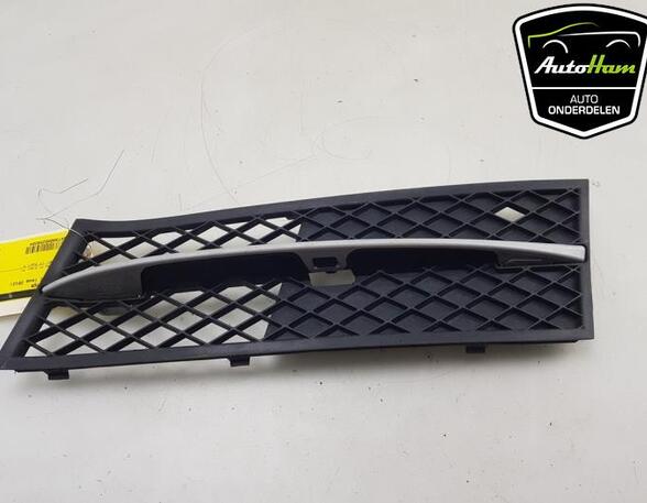 Ventilatiegrille bumper BMW 5 (F10)