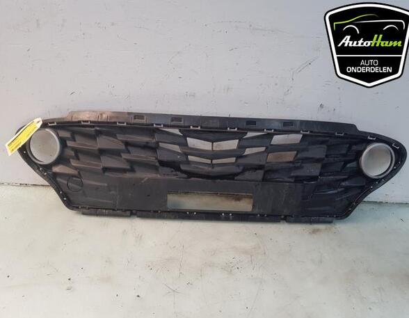 Bumper Ventilation Grille HYUNDAI i10 III (AC3, AI3)