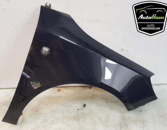 Stoßstange vorne Skoda Fabia II 542 5J0807221D P20891228