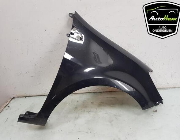 Bumper RENAULT CLIO III (BR0/1, CR0/1)