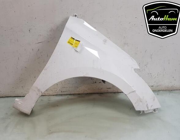 Spatbord HYUNDAI i20 (GB, IB), HYUNDAI i20 II Coupe (GB)