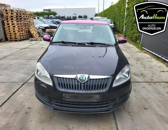 Kotflügel links vorne Skoda Fabia II 542 5J0821021A P20891225