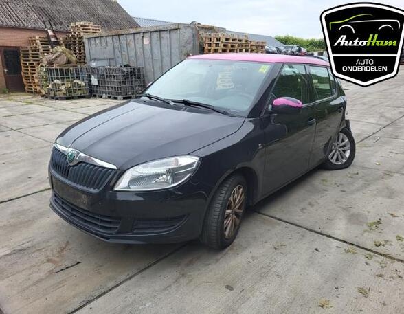 Kotflügel links vorne Skoda Fabia II 542 5J0821021A P20891225