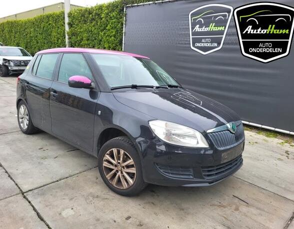 Kotflügel links vorne Skoda Fabia II 542 5J0821021A P20891225