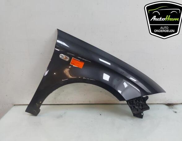 Spatbord SEAT ALTEA (5P1), SEAT ALTEA XL (5P5, 5P8), SEAT TOLEDO III (5P2)