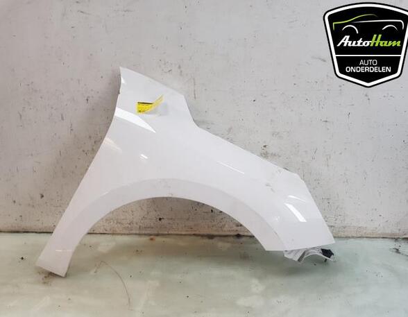 Spatbord OPEL CORSA F (P2JO)