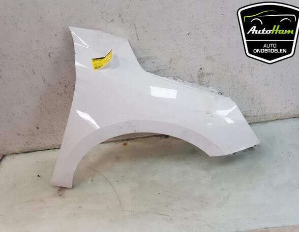 Spatbord OPEL CORSA F (P2JO)