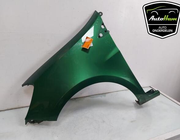 Spatbord RENAULT CLIO III (BR0/1, CR0/1)