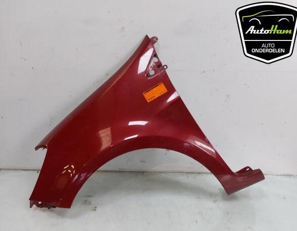 Wing RENAULT CLIO III (BR0/1, CR0/1)