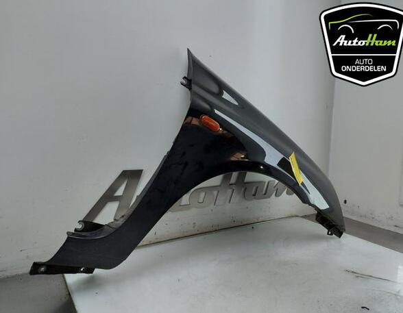 Spatbord RENAULT CLIO II (BB_, CB_)