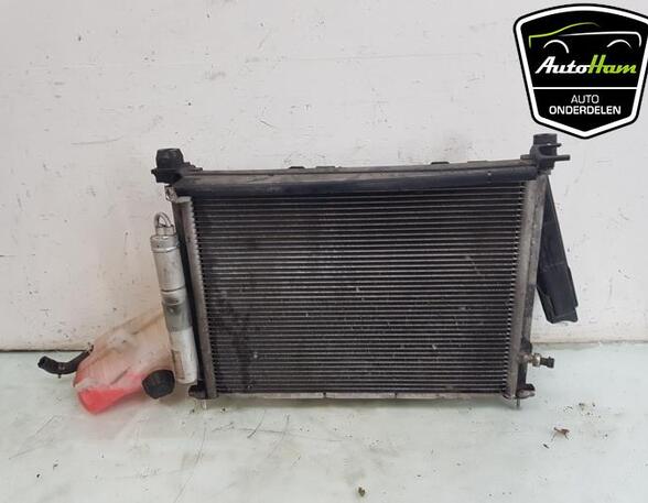 Wing RENAULT CLIO III (BR0/1, CR0/1), RENAULT CLIO II (BB_, CB_)