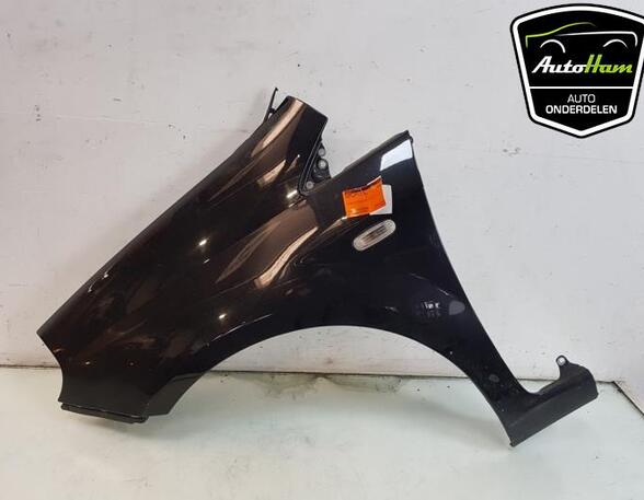 Spatbord FIAT GRANDE PUNTO (199_), FIAT PUNTO (199_), FIAT PUNTO EVO (199_)