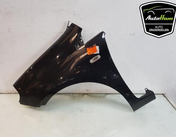 Spatbord FIAT GRANDE PUNTO (199_), FIAT PUNTO (199_), FIAT PUNTO EVO (199_)