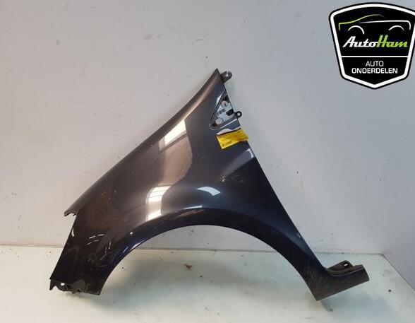 Wing RENAULT CLIO III (BR0/1, CR0/1), RENAULT CLIO II (BB_, CB_)