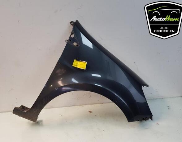 Spatbord RENAULT CLIO III Grandtour (KR0/1_), RENAULT CLIO III (BR0/1, CR0/1), RENAULT CLIO II (BB_, CB_)