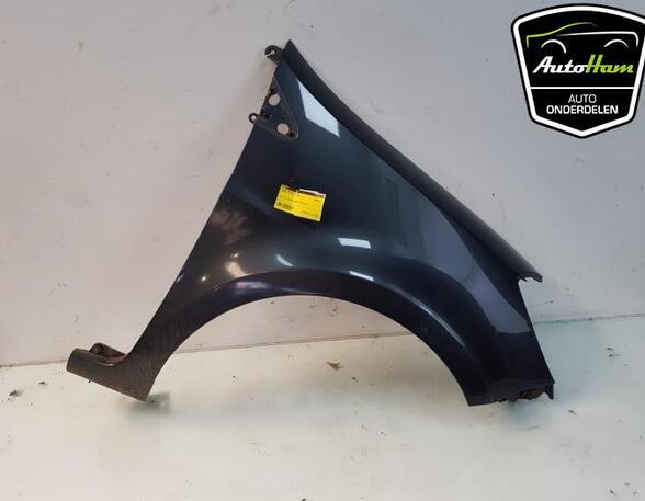 Spatbord RENAULT CLIO III Grandtour (KR0/1_), RENAULT CLIO III (BR0/1, CR0/1), RENAULT CLIO II (BB_, CB_)