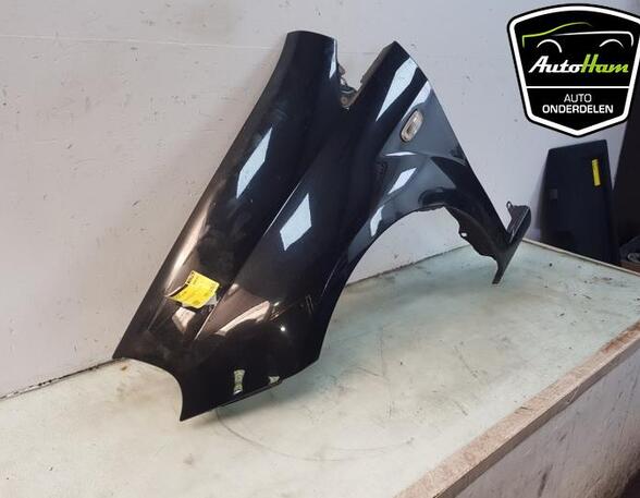 Wing FIAT GRANDE PUNTO (199_), FIAT PUNTO EVO (199_), FIAT PUNTO (199_)