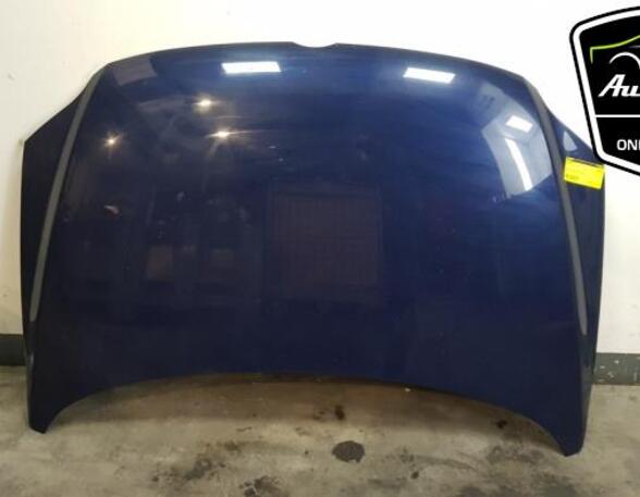 Bonnet VW FOX Hatchback (5Z1, 5Z3, 5Z4)