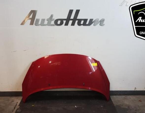 Bonnet PEUGEOT 207 SW (WK_), PEUGEOT 207 (WA_, WC_), PEUGEOT 207 CC (WD_)