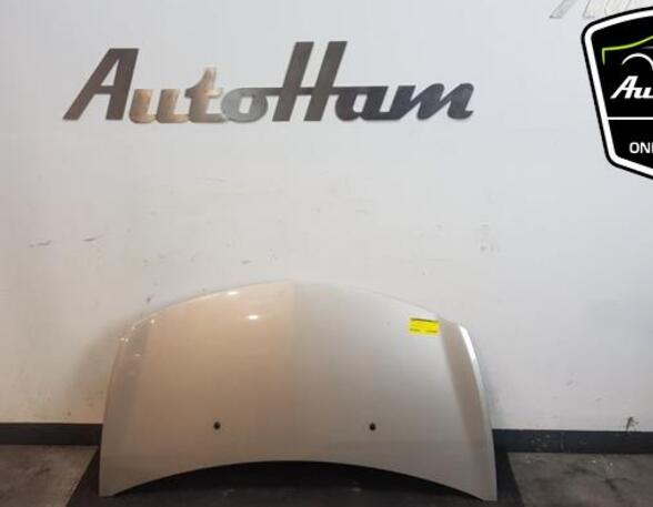 Motorhaube Renault Clio III BR0/1, CR0/1 7751476113 P14657216