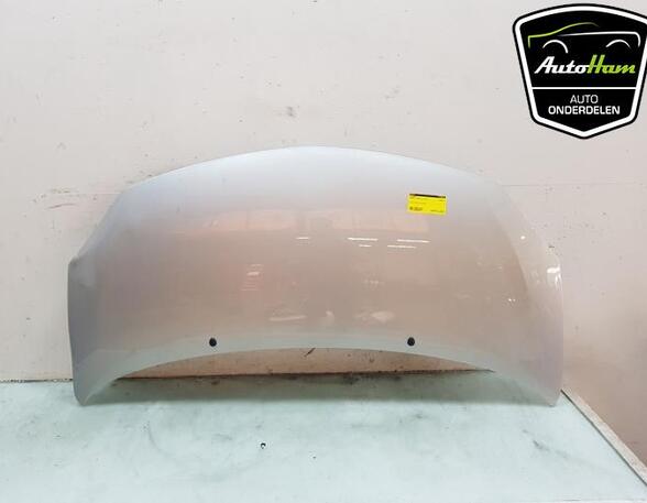 Motorhaube Renault Twingo II CN0 651003355R P21197433